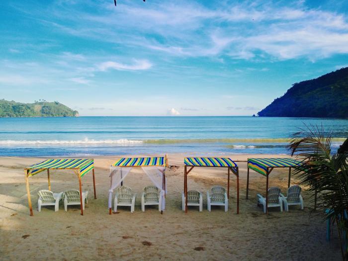 el nido