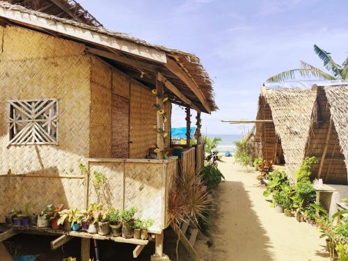 amwani beach camp