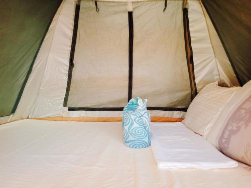 amwani beach camp