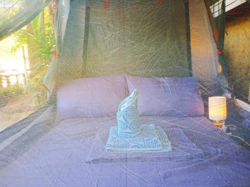 amwani beach camp
