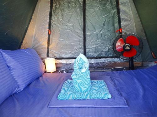 amwani beach camp