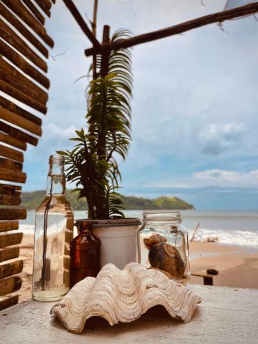 amwani beach camp