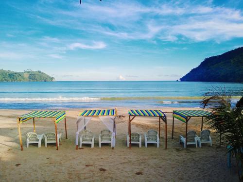el nido