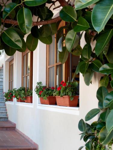 hotel corallo