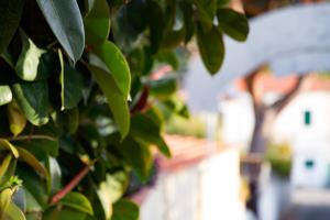 hotel corallo