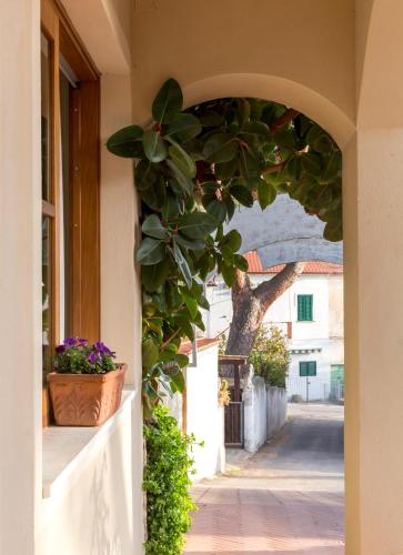 hotel corallo