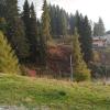 Hotel Adler,Foppolo>>Bergamo,3 star