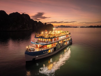 cycad cruise