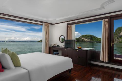 cycad cruise