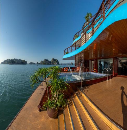 cycad cruise