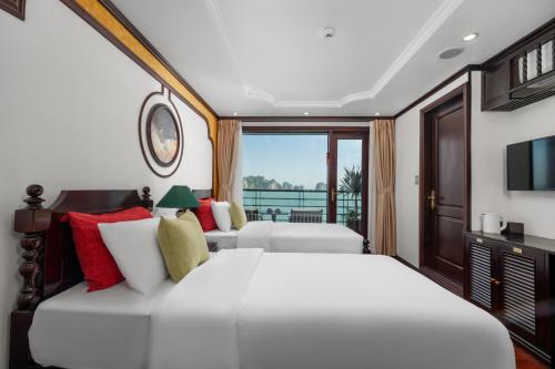 cycad cruise