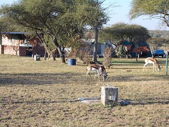 limpopo lodge