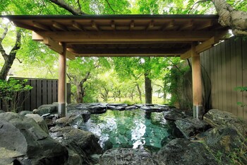 furuyuonsen sagafuga