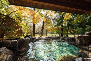 furuyuonsen sagafuga