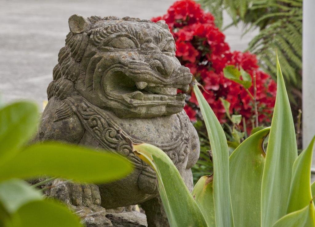 amber court motel whakatane