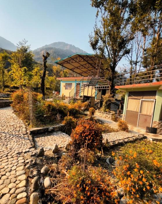 peace forest retreat
