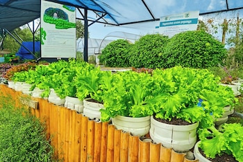 greenheart garden view camp phuket