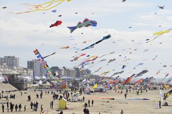 evancy hardelot equihen