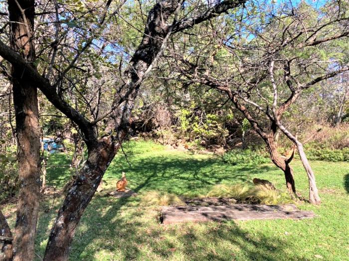 double lodge in natural african bush 2111