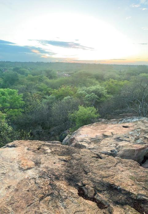 double lodge in natural african bush 2111