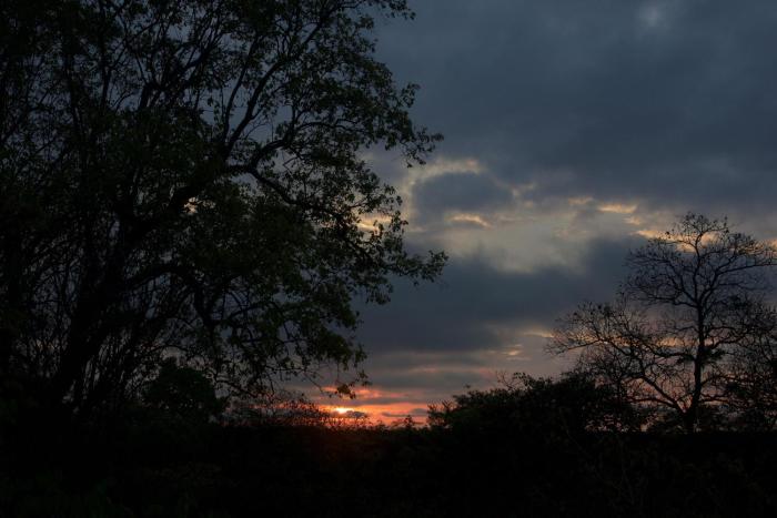 double lodge in natural african bush 2111