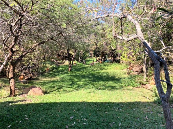 double lodge in natural african bush 2111