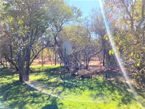 double lodge in natural african bush 2111