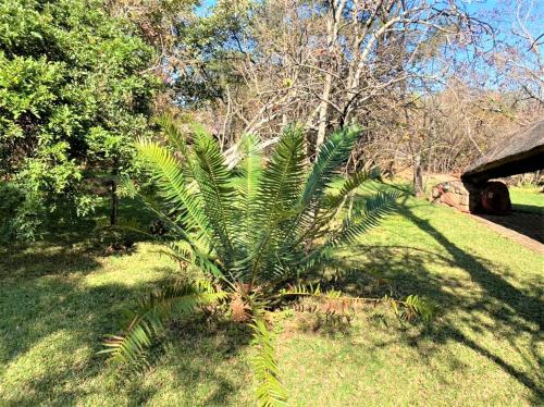 double lodge in natural african bush 2111