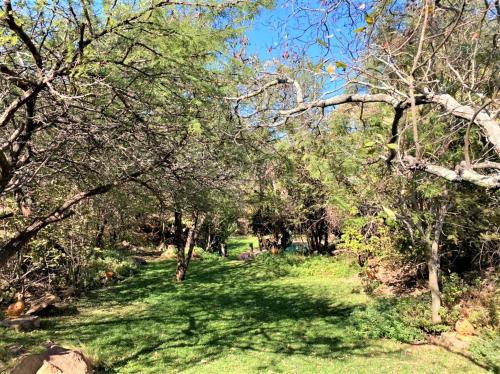 double lodge in natural african bush 2111