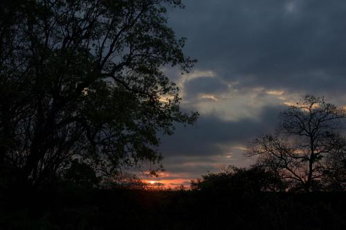 double lodge in natural african bush 2111