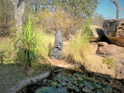 double lodge in natural african bush 2111