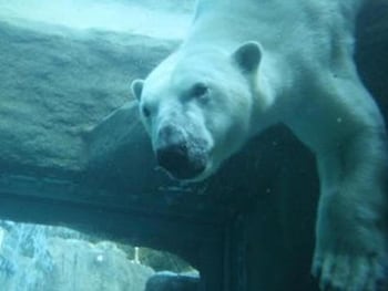 Shizuoka Town Hotel,Shizuoka Prefecture>>Shizuoka,3 star