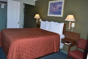 budget inn of needles