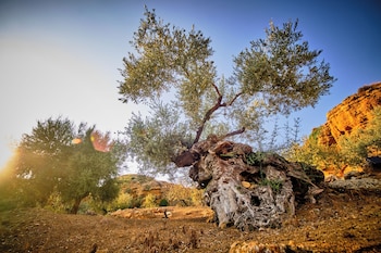 agrigento