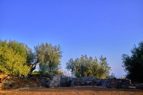 villa cavetta