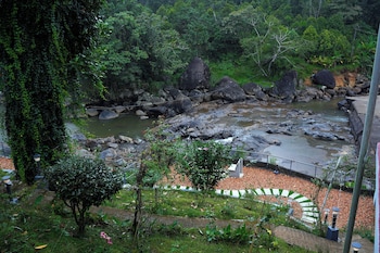 nature harmony