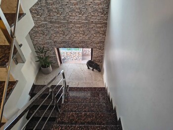 homistay 3bhk