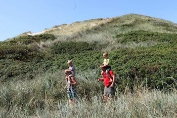 dancamps holmsland