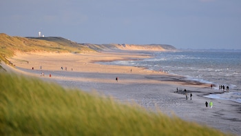 dancamps holmsland