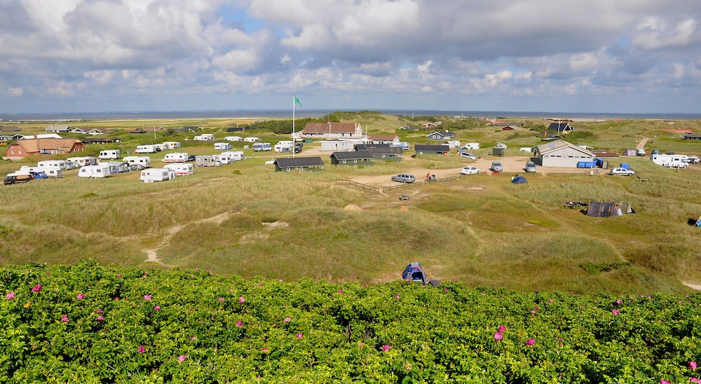 dancamps holmsland