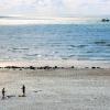 dancamps holmsland