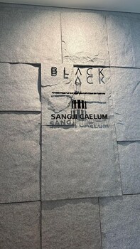 caelum black gangnam luxury residence