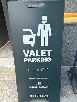 caelum black gangnam luxury residence