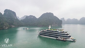 velar of the sea cruise