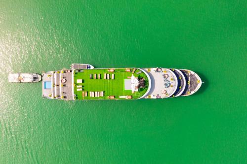velar of the sea cruise