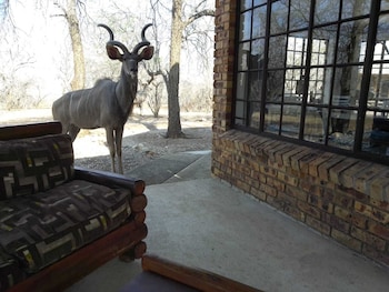 Elephant Memories Safari Lodge,,3 star