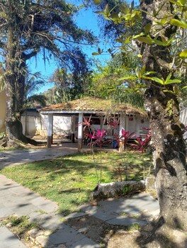 novo encanto