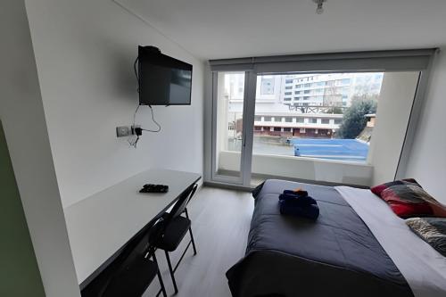 edificio stepke