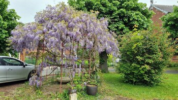 Le Petit Chateau Avesnois,,0 star