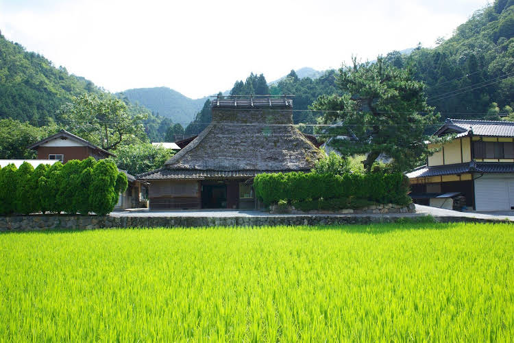 miyama futon and breakfast thatched cottages